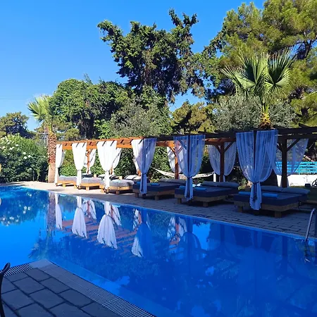 Trees Art & 3* Ixia (Rhodes)