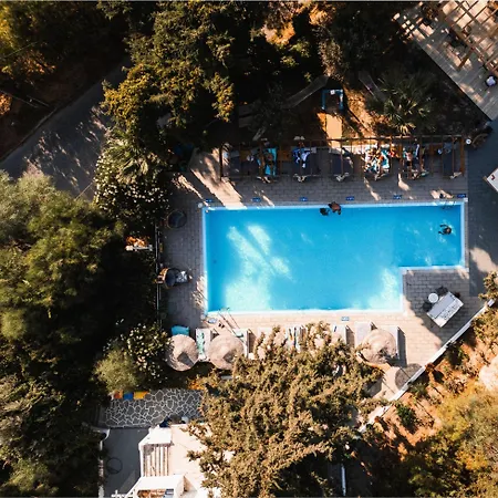 Trees Art & 3* Ixia (Rhodes)