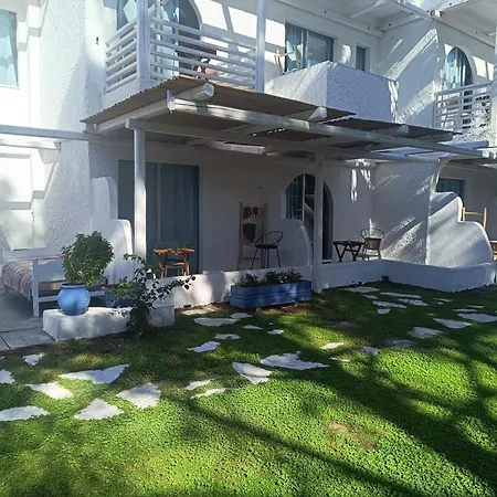 Отель Trees Art &