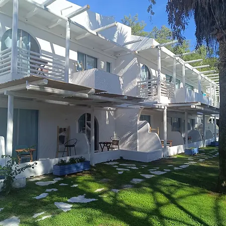 Отель Trees Art & 3*