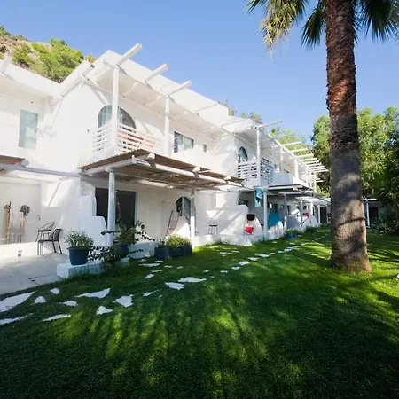 Отель Trees Art &