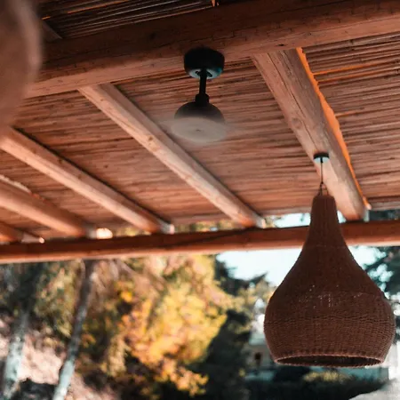 Trees Art & 3* 익시아