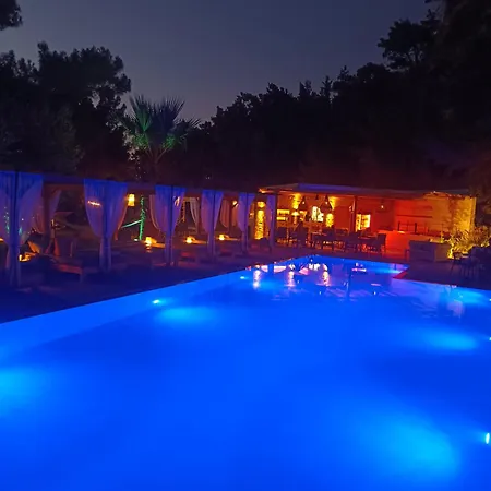 Trees Art & Ixia (Rhodes)