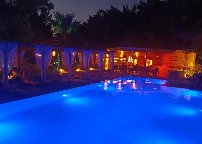 Trees Art & イキソス