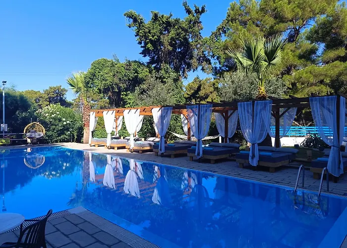 Trees Art & 3* Ixia (Rhodes)