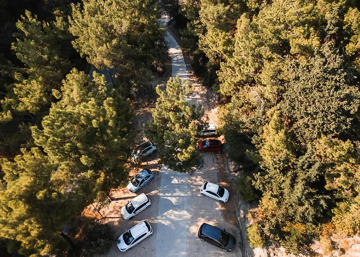 Trees Art & ホテル